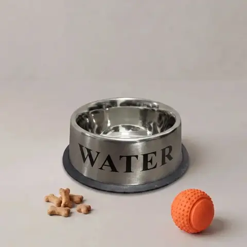 Bowl Water Para Mascotas
