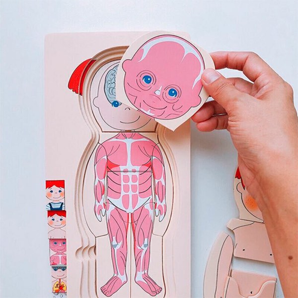 Puzzle del cuerpo humano